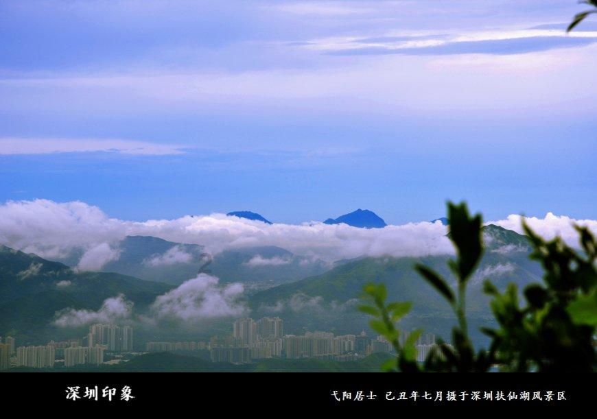 救援瓢虫宝宝